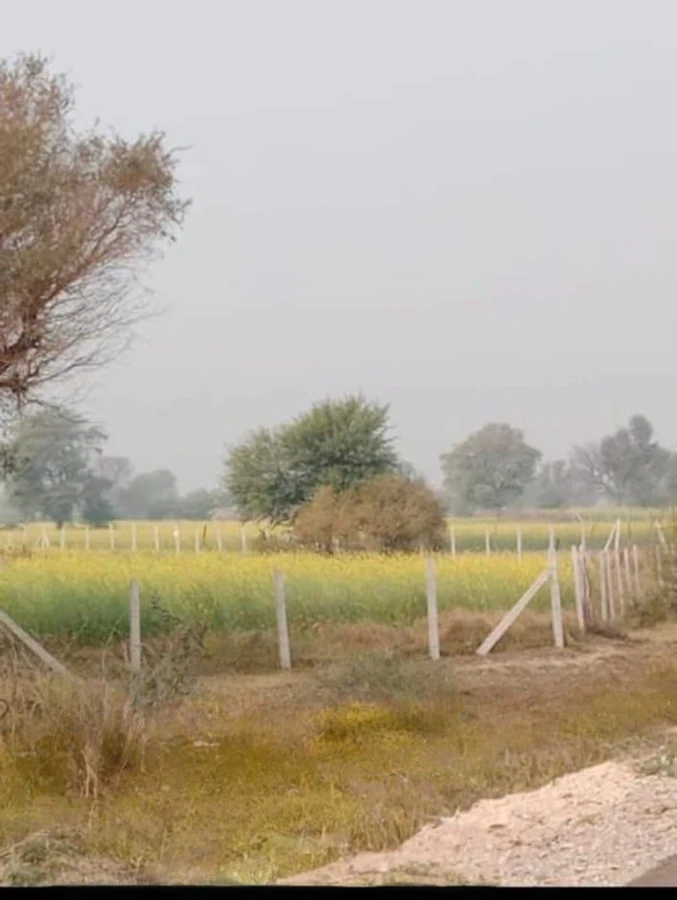 Khedapati Balaji Marg, Rajasthan 303006, India