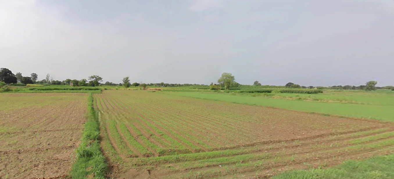 Khizrabad, Punjab 140109, India