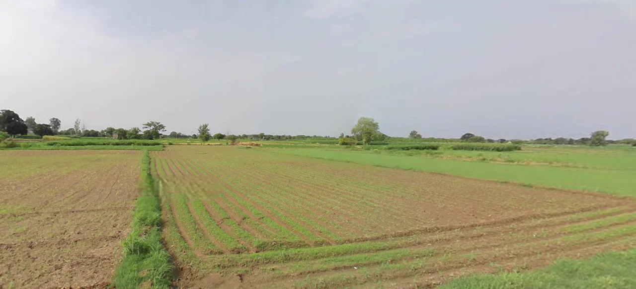 Khizrabad, Punjab 140109, India preview 2