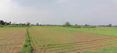 Khizrabad, Punjab 140109, India preview 2