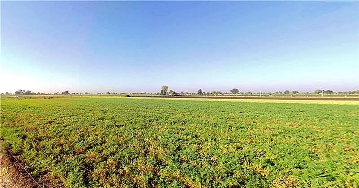 Dhari, Gujarat 365640, India