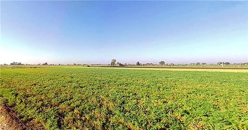 Dhari, Gujarat 365640, India preview 2