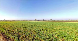 Dhari, Gujarat 365640, India preview 2