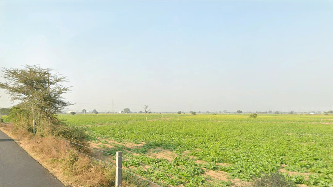 Sanga, Haryana 127309, India