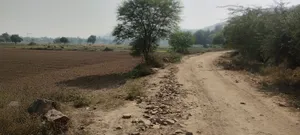CRW3+WJH, Bai, Bere, Alwar, Rajasthan 301026, India preview 2
