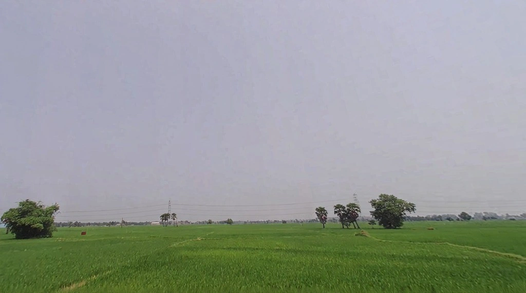 Sondhi, Bihar 811311, India