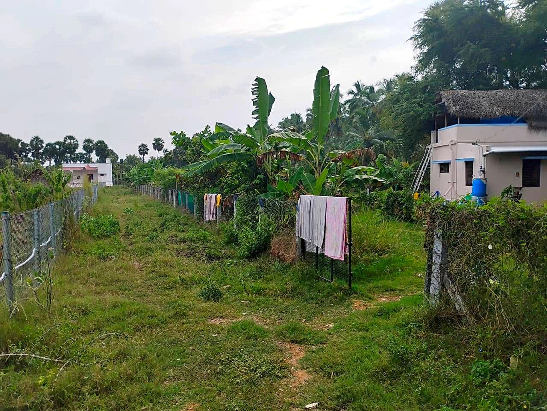 Srivilliputhur, Tamil Nadu 626125, India