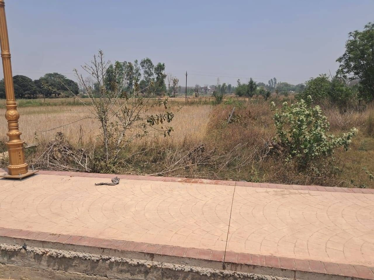 Ranoli, Rajasthan 332403, India