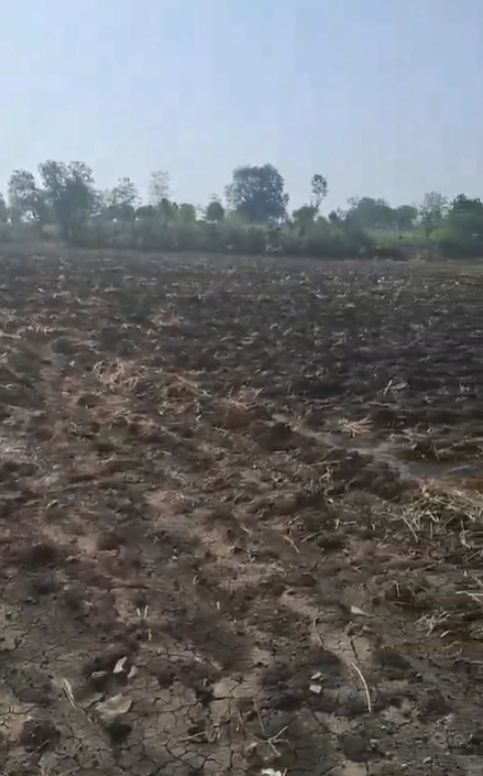 Punjapura, Dewas, Madhya Pradesh 455227, India preview 2