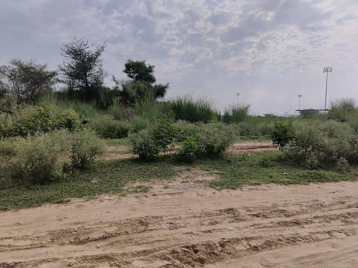Bandhwari Rd, Balola, New Delhi, Bandhwari, Haryana 122101, India