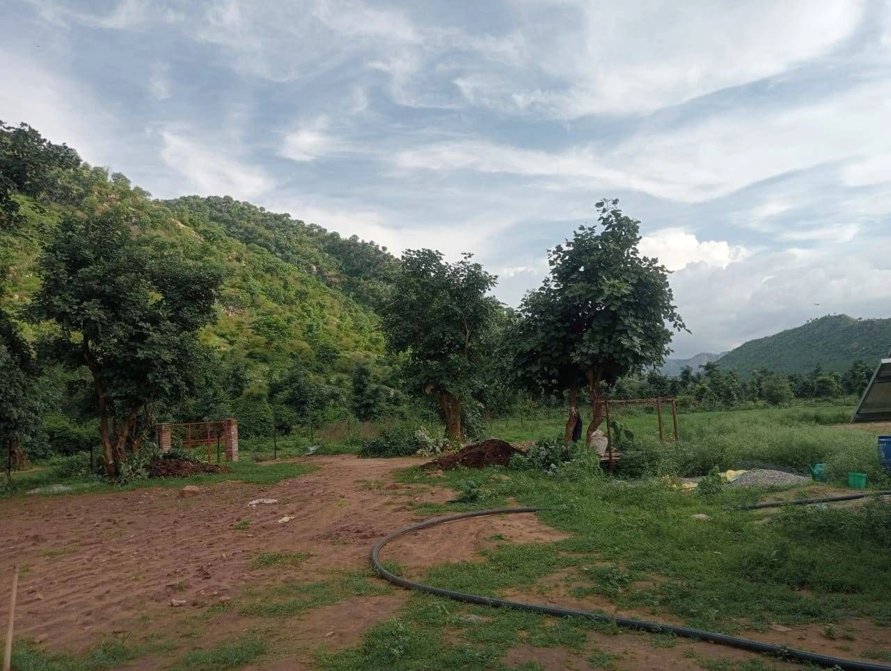 HG4R+68 Rundh Dadikar, Rajasthan, India