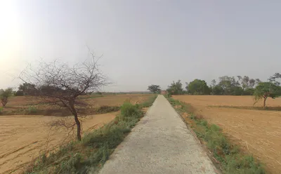 Kharak Sohna, Haryana, India preview 3