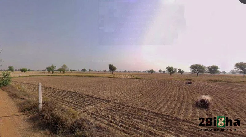 Chhatarpur, Madhya Pradesh 471001, India preview 2