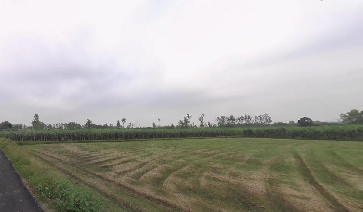 Purquazi, Uttar Pradesh, India