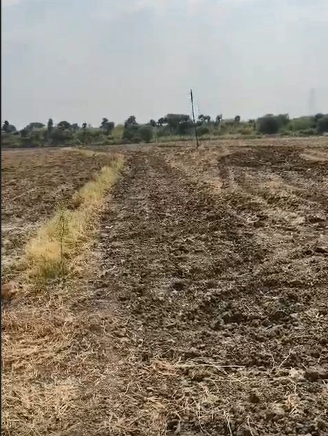 Bhothidih, Dhamtari, Chhattisgarh 493662, India