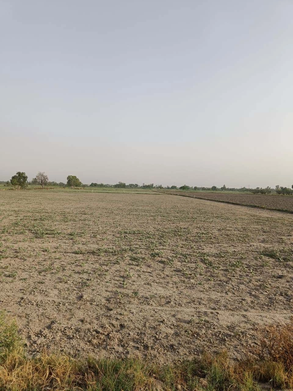 Tentigaon, Uttar Pradesh, India