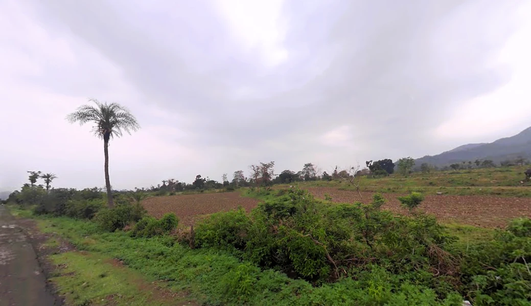 Bargodam, Kalka, Haryana 133302, India