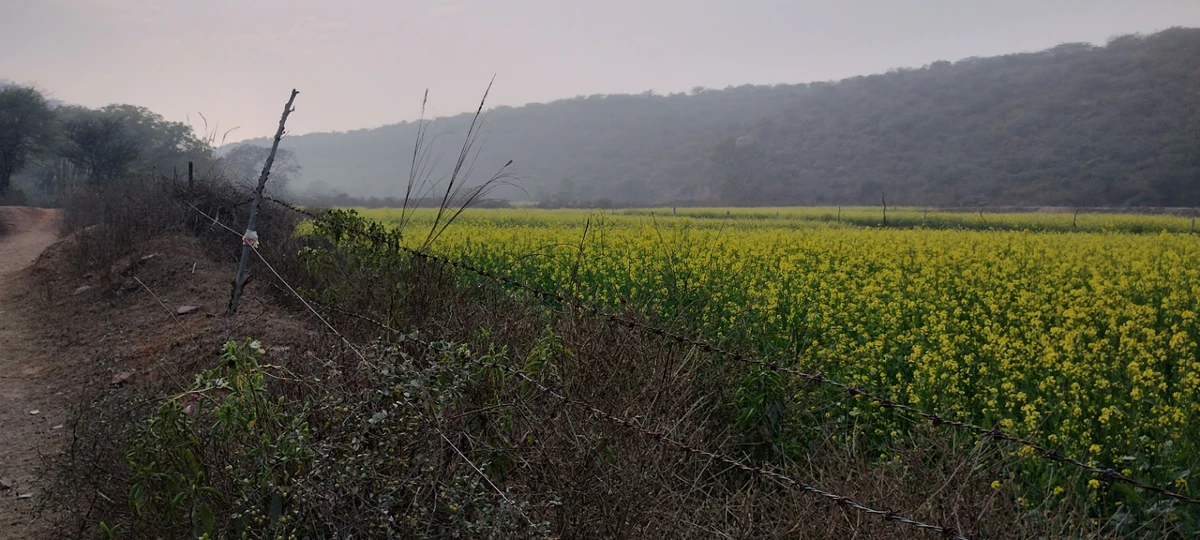 Seu, Rajasthan, India