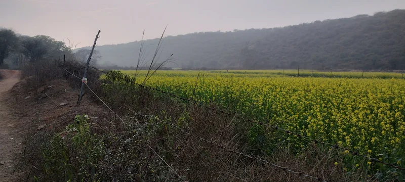 Seu, Rajasthan, India preview 3