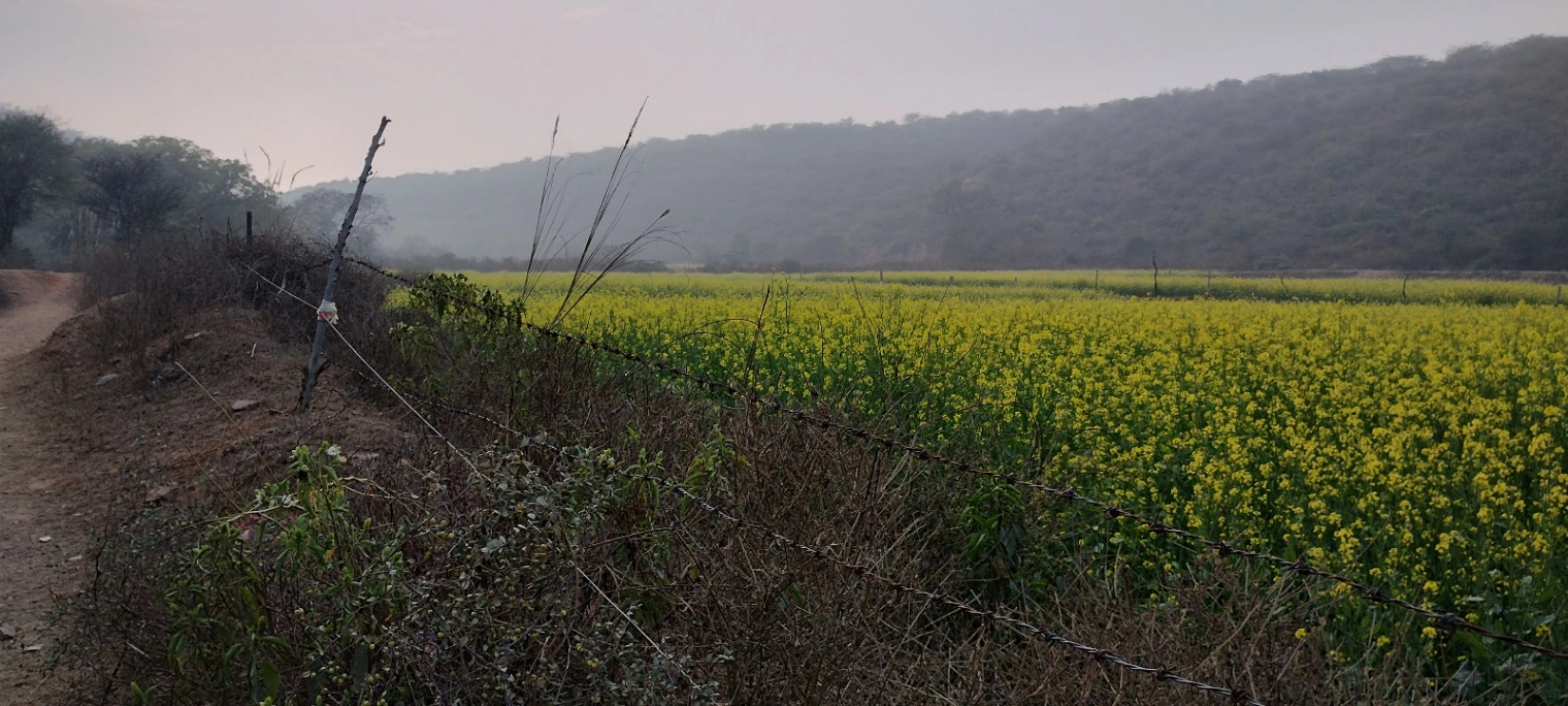 Seu, Rajasthan, India