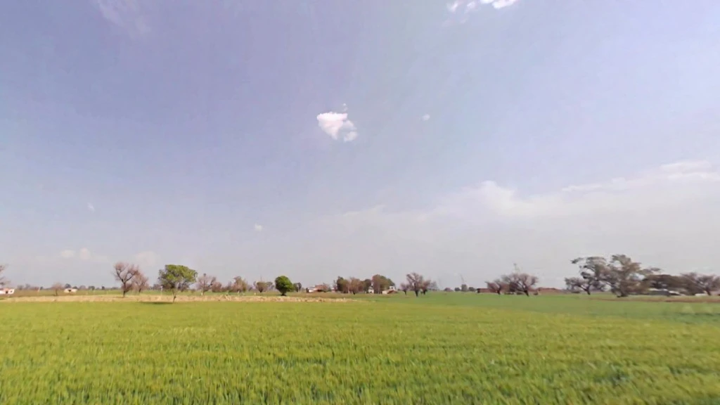 Gandoora, Rajasthan, India