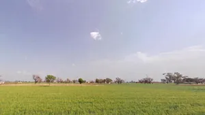 Gandoora, Rajasthan, India preview 2