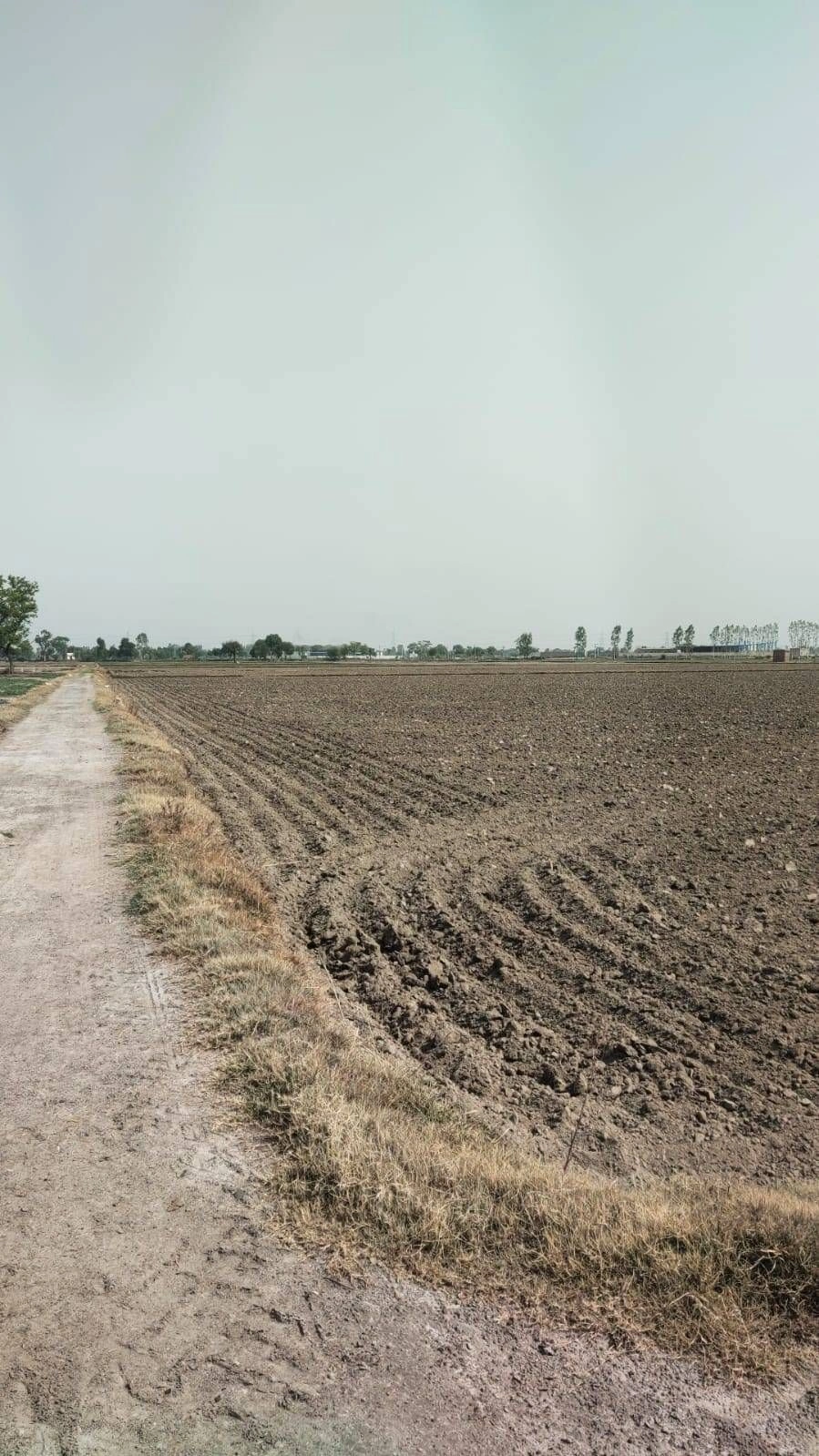 Ajijpur, Uttar Pradesh, India