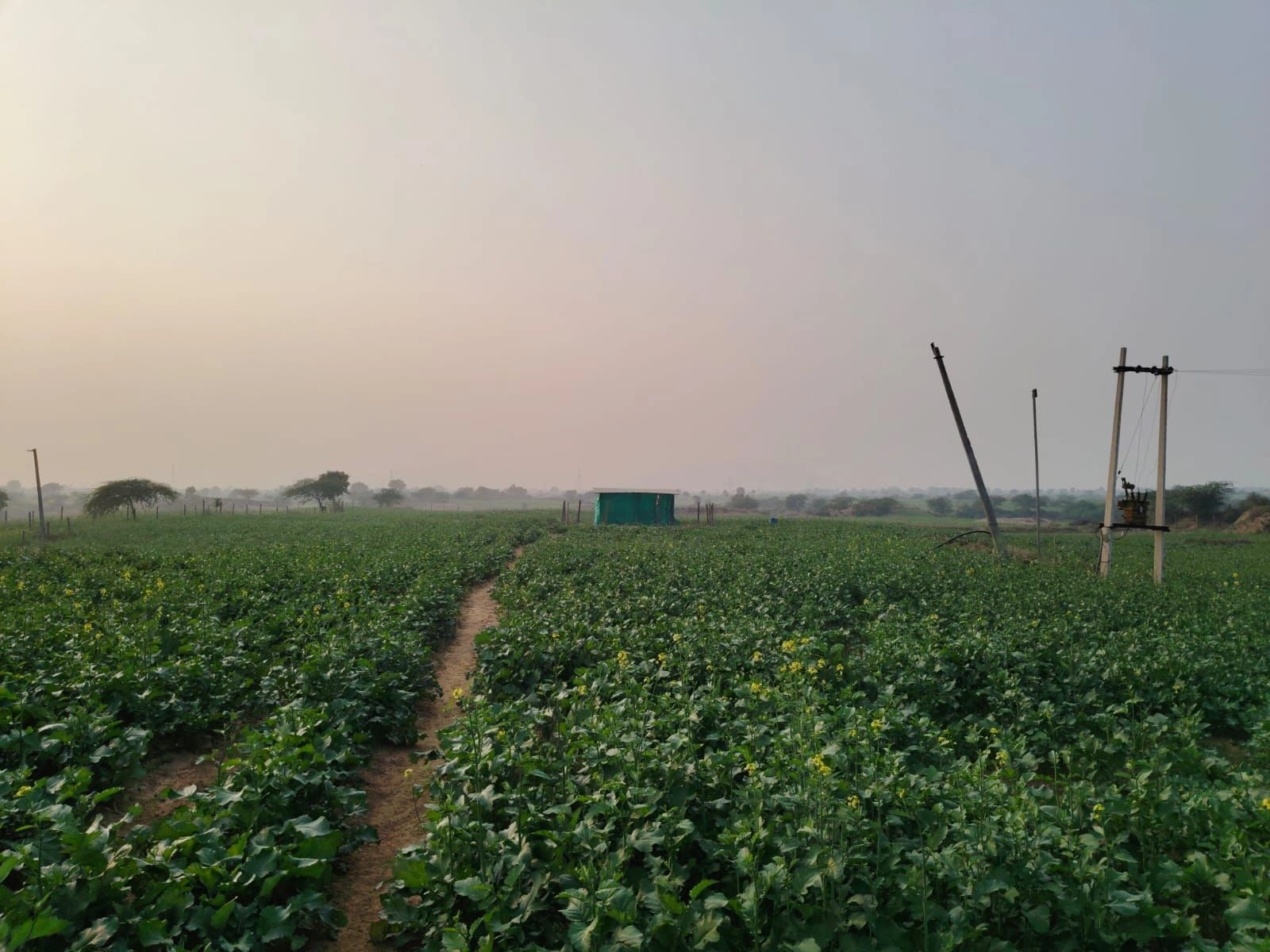 Indragarh, Rajasthan, India