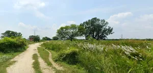 Mohanlalganj, Uttar Pradesh 226301, India preview 2