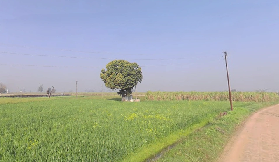 Tahsil, Bhainsa, Mawana, Uttar Pradesh 250401, India