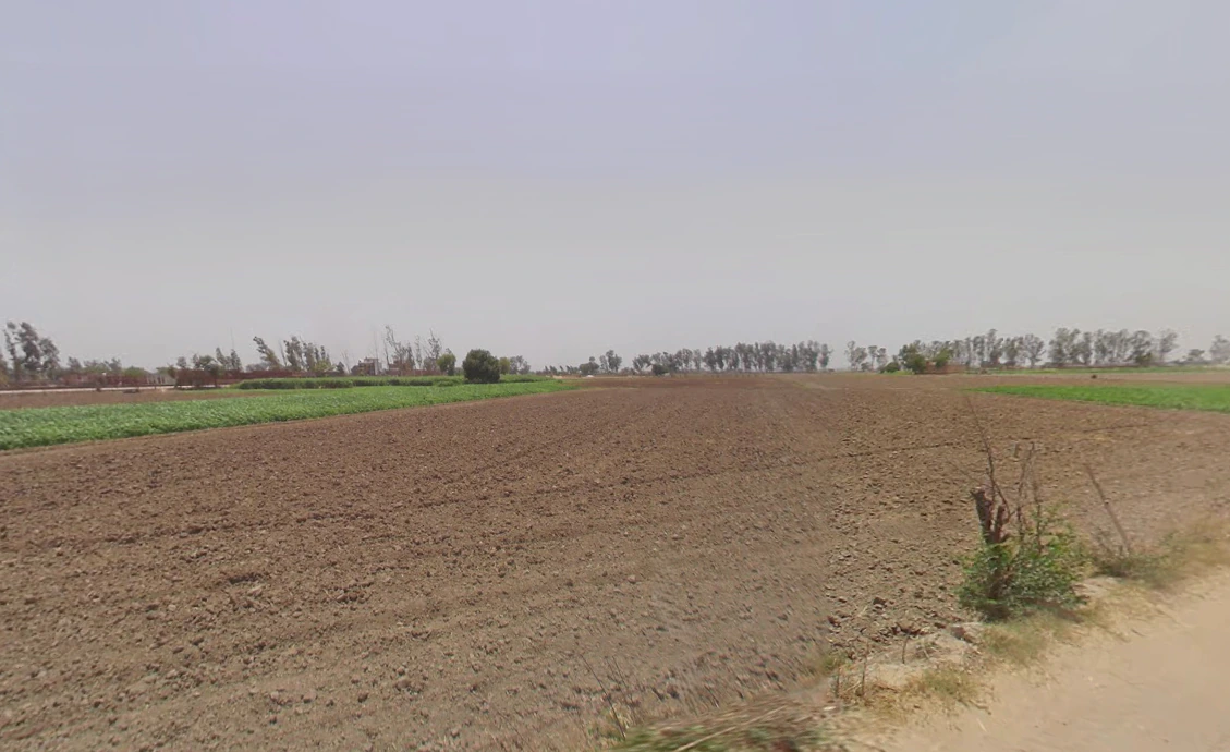 Bass, Haryana 125042, India