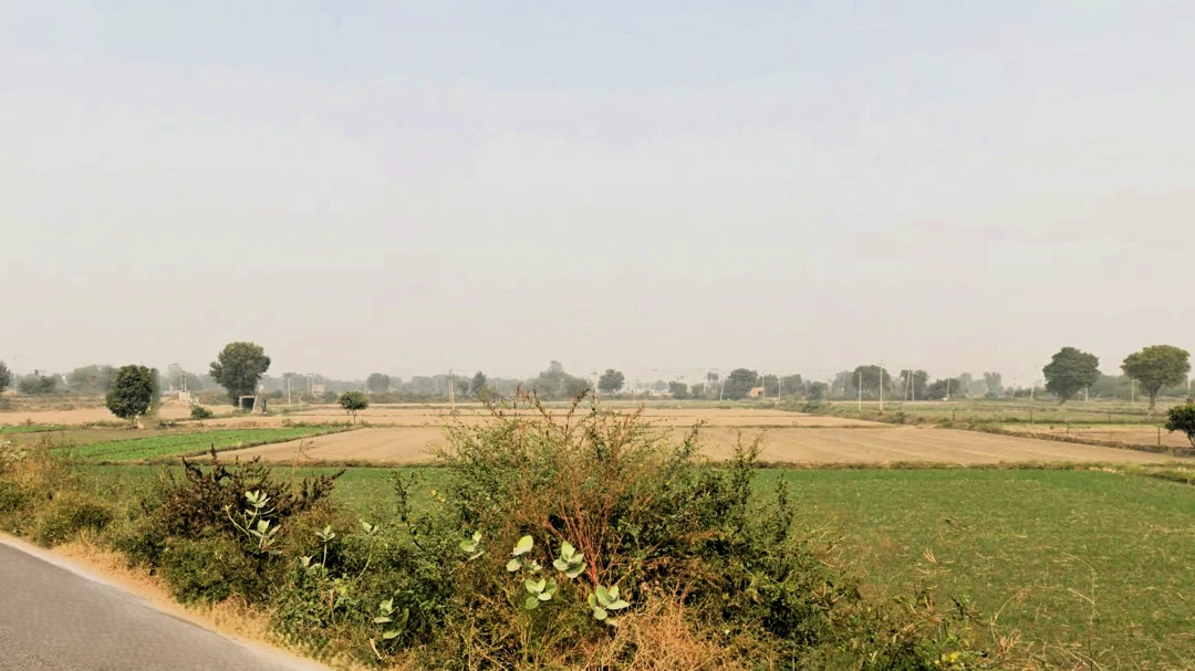 Jindran, Haryana, India