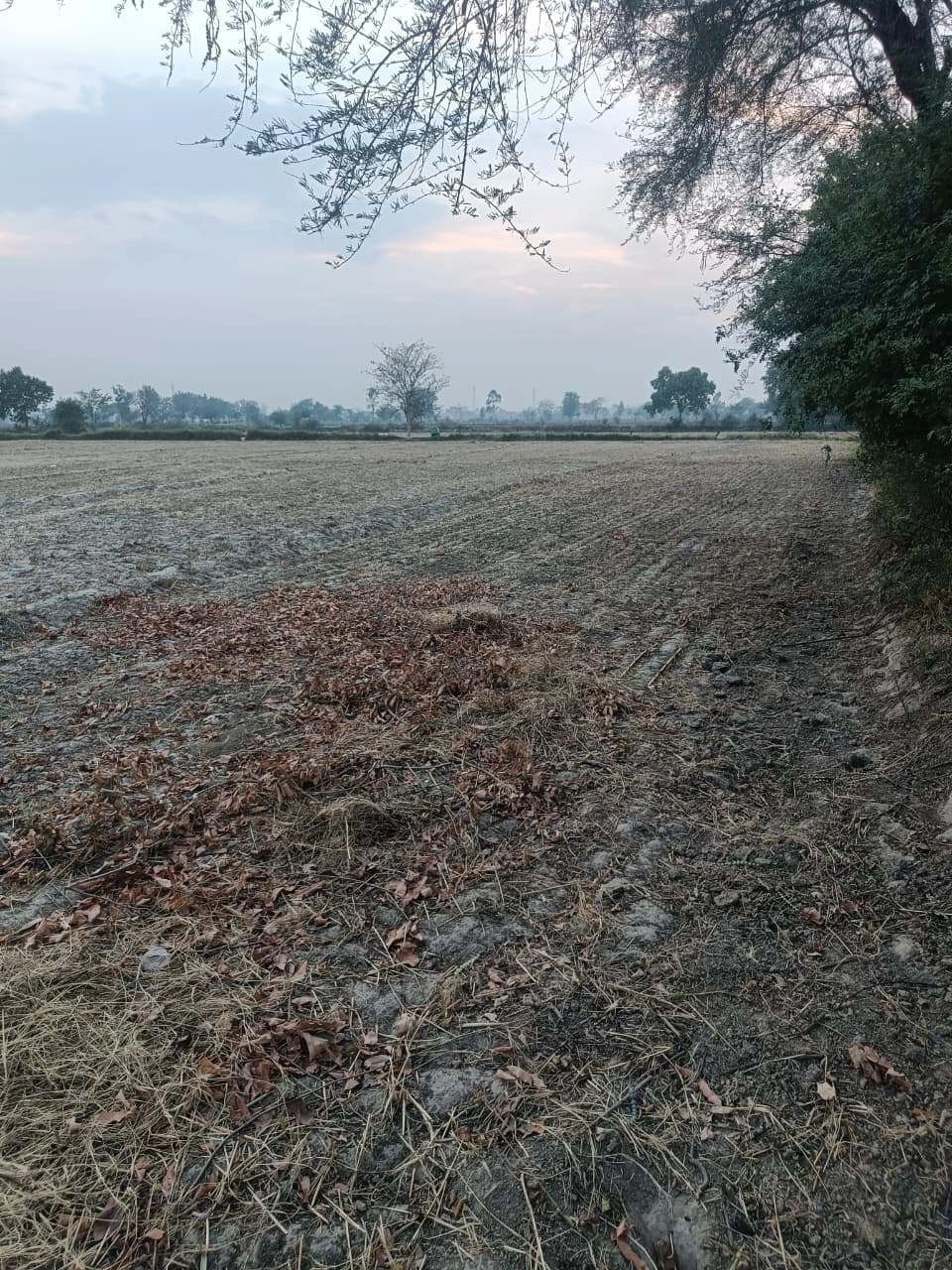 Ajijpur, Uttar Pradesh, India preview 3