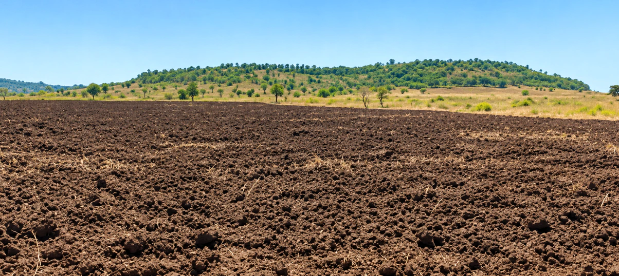 855P+WMP, Kamareddy, Motha, Telangana, India - Photo 2