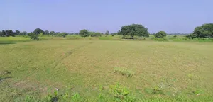 Prayagraj, Uttar Pradesh, India preview 3