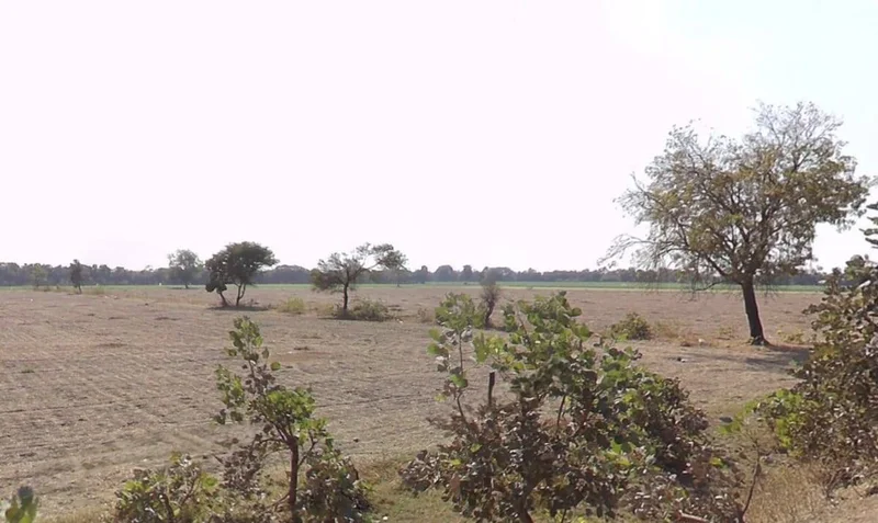 3VFX+HPH, Semaliyanasar, Madhya Pradesh 456664, India preview 3