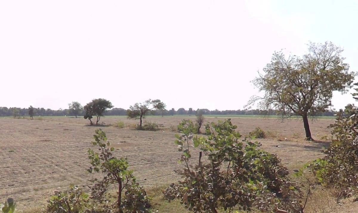 3VFX+HPH, Semaliyanasar, Madhya Pradesh 456664, India