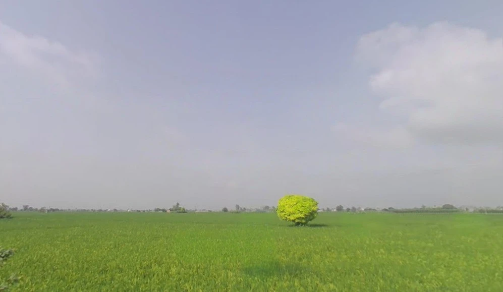 Jundla, Haryana 132036, India