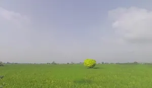 Jundla, Haryana 132036, India preview 2