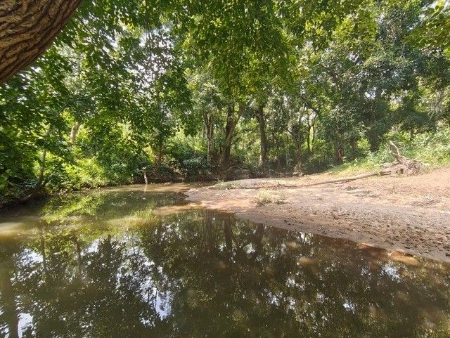 Q5WJ+M6H, Pulpally, Kerala 673579, India