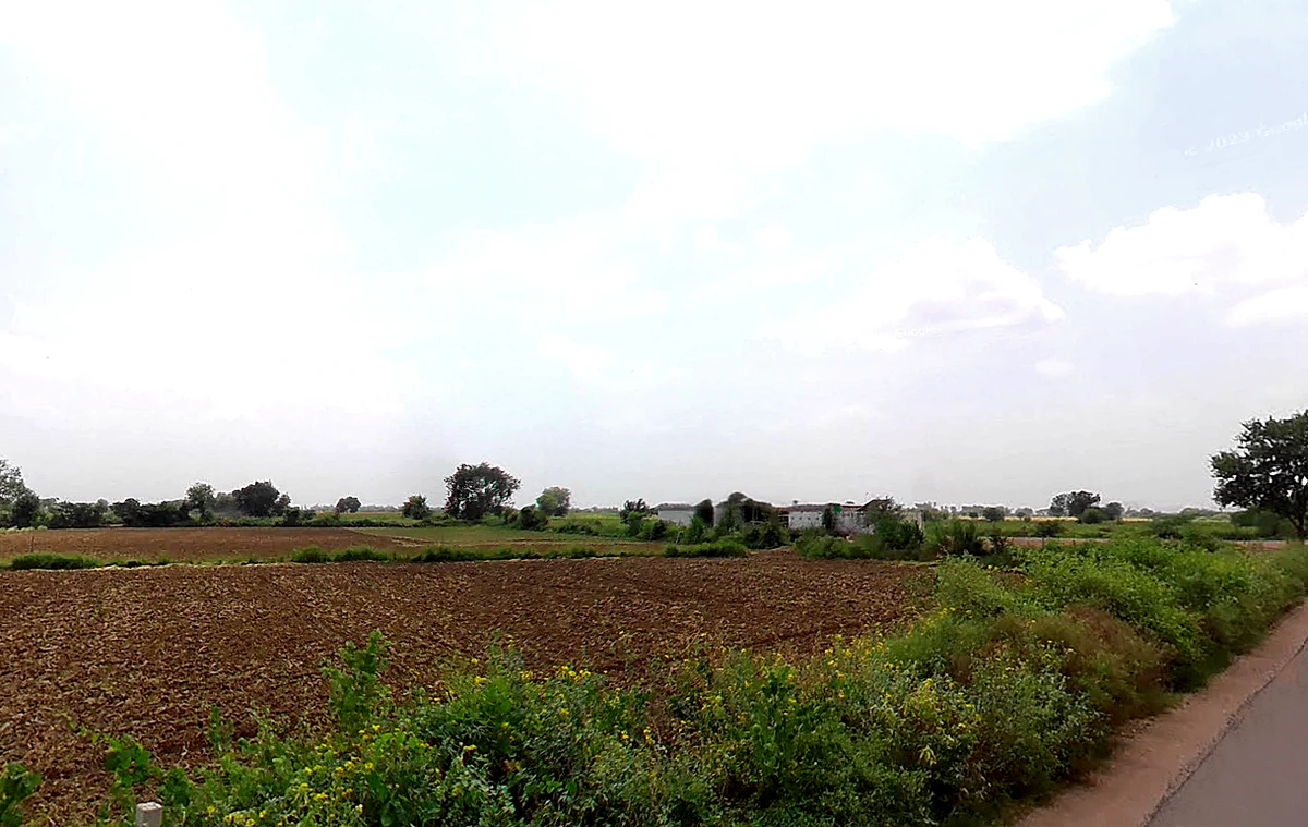 Charkhi Dadri, Haryana 127306, India