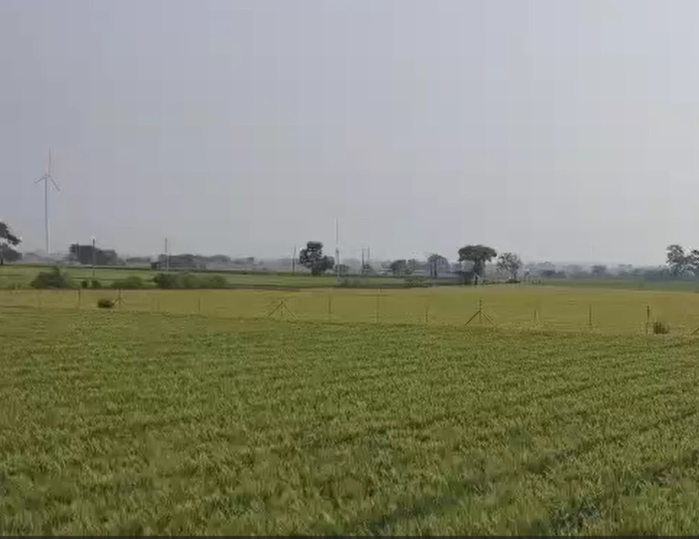 4H4M+FP Kahlpa, Sonipat, Haryana, India