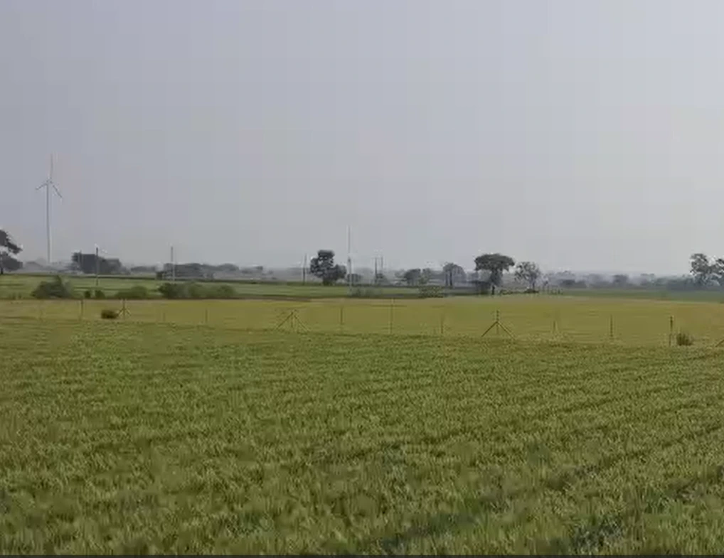 4H4M+FP Kahlpa, Sonipat, Haryana, India
