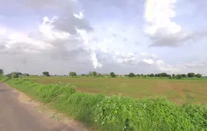 RJ6P+9FX, Khairthal Gaon, Khairthal, Rajasthan 301404, India preview 2