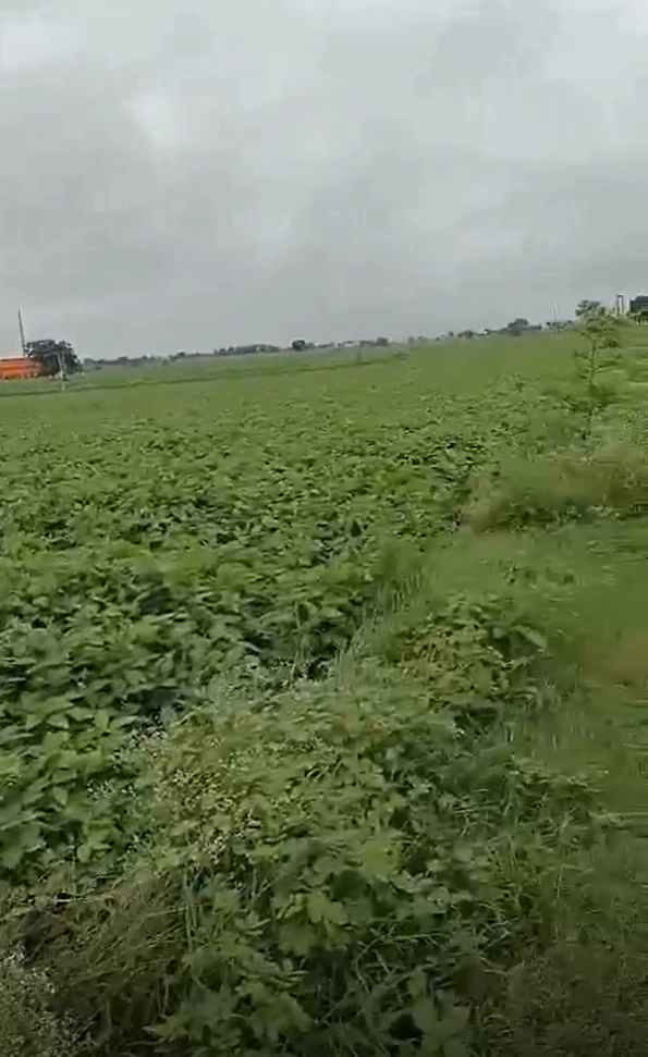 Satai, Chhatarpur, Madhya Pradesh 471408, India