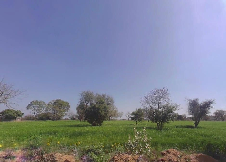 Mandha, Rajasthan, India preview 2