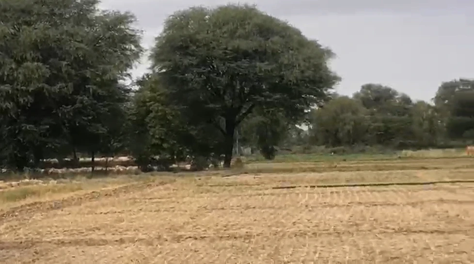 QPX8+2R, Muhana, Rajasthan 302029, India