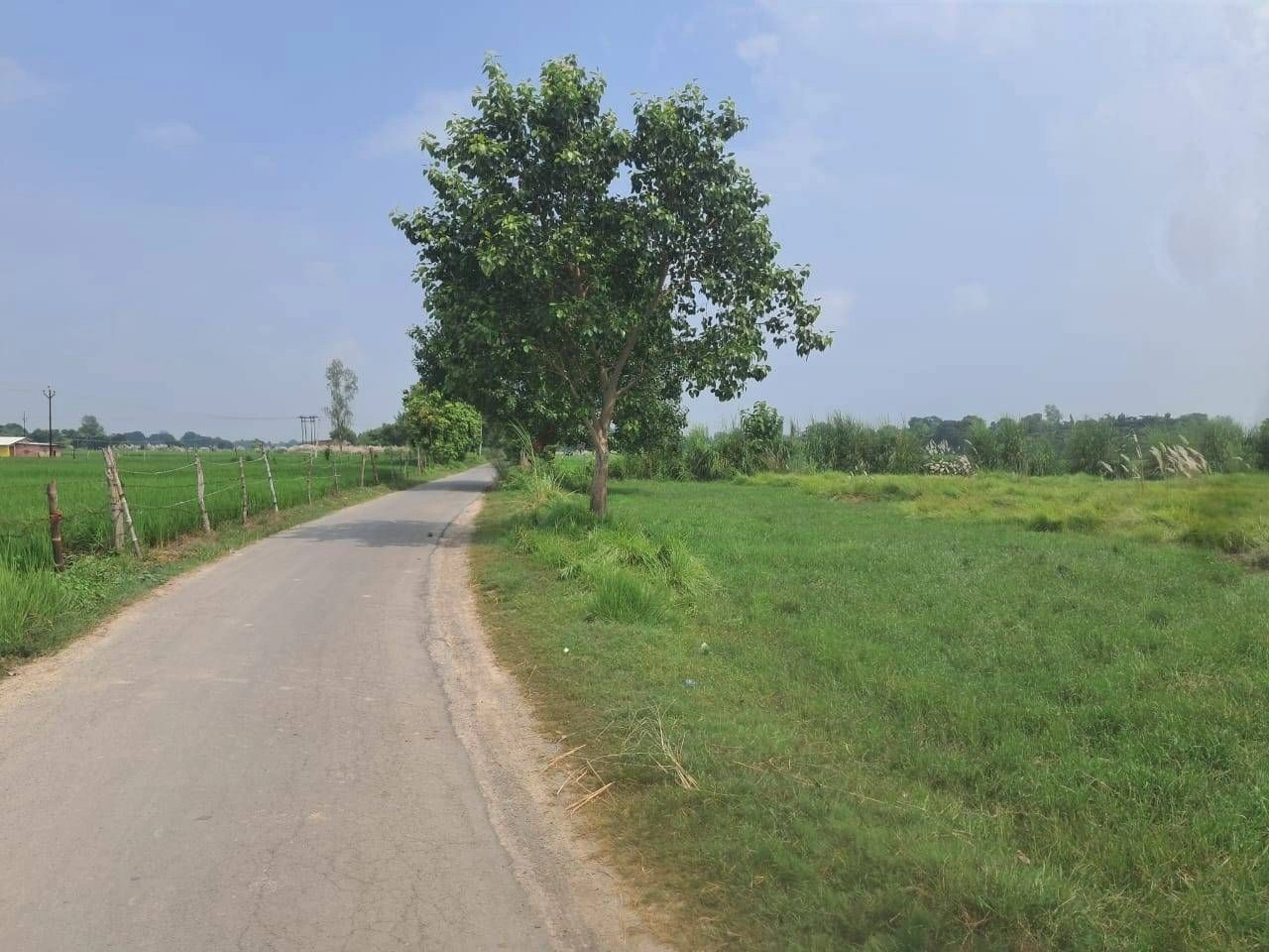 J8XQ+XW Maya Bhikhi, Ayodhya, Uttar Pradesh, India - Photo 3