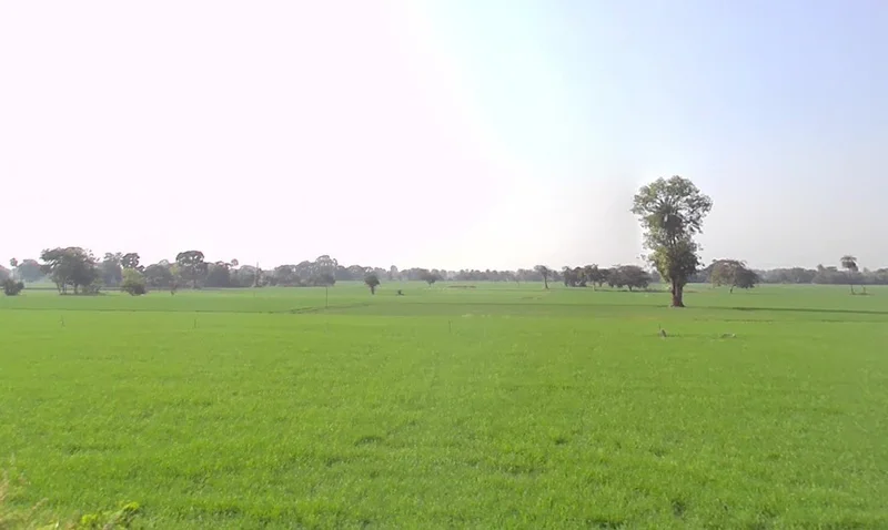 Nawagarh, Chhattisgarh 491337, India preview 3