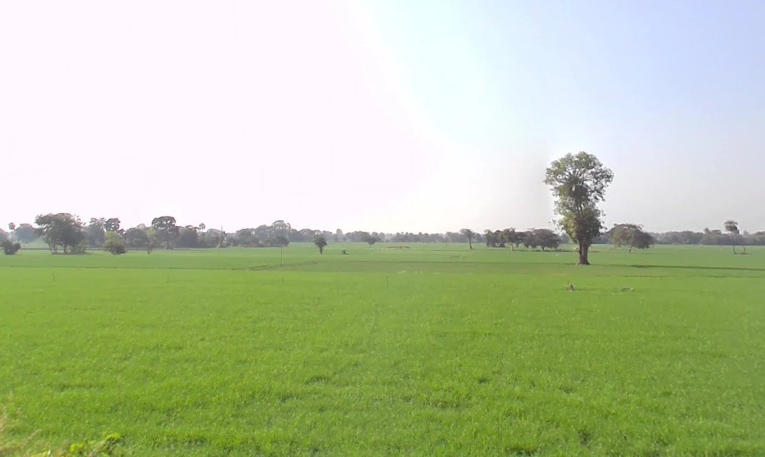 Nawagarh, Chhattisgarh 491337, India